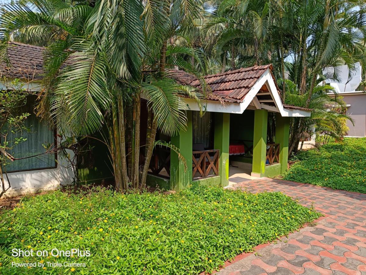 Dunhill Resort Agonda